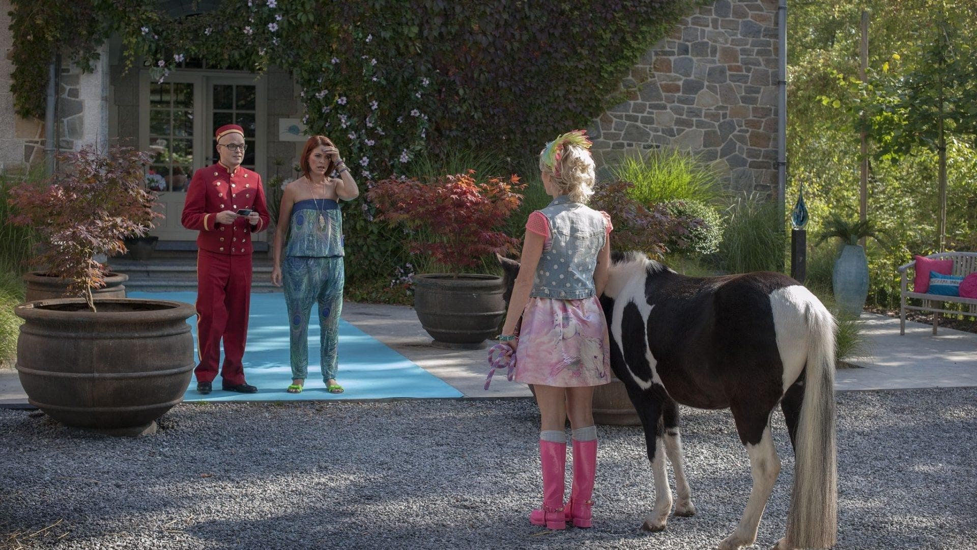 K3: Animal Hotel