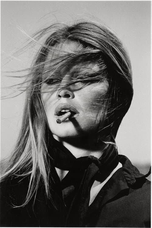 Show Bardot